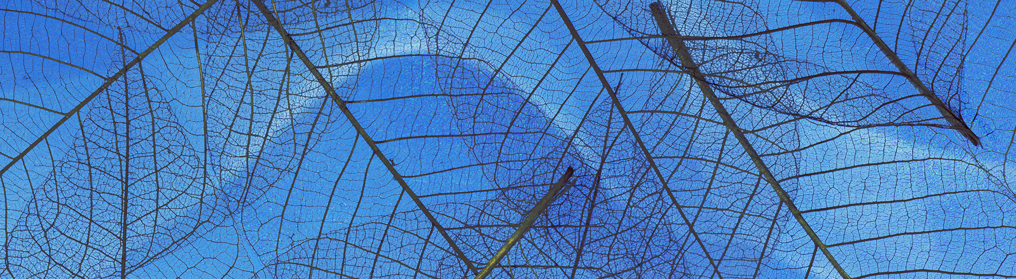 Perpetual Diversified Income Active ETF (ASX:DIFF)