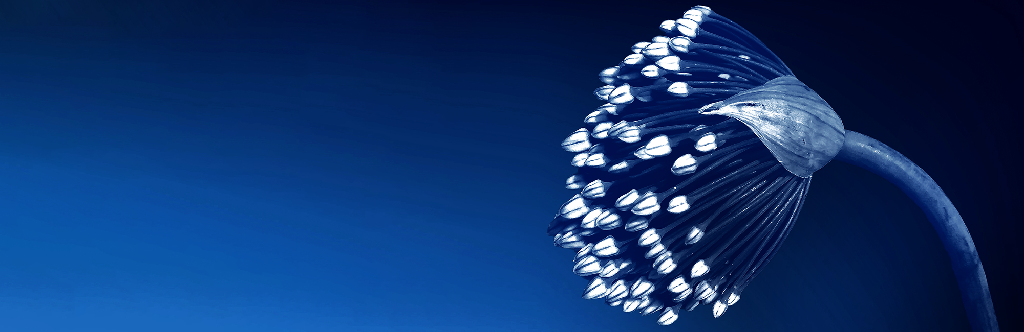 About Wealth Management