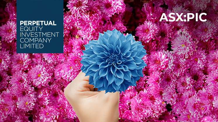Perpetual-PIC_flower-746x419.jpg